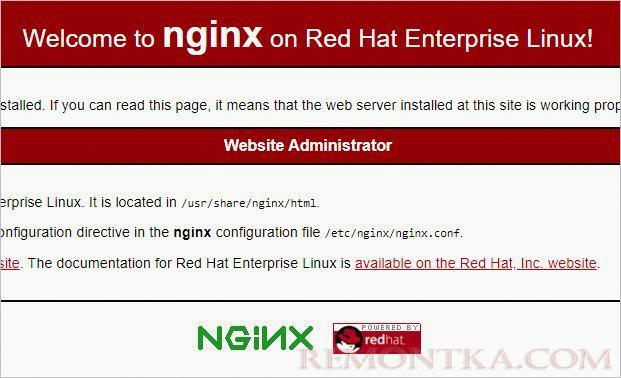 Стартовая страница NGINX