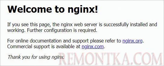 Стартовая страница NGINX