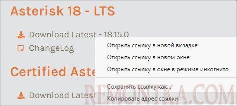 Копируем ссылку на нужную нам версию Asterisk