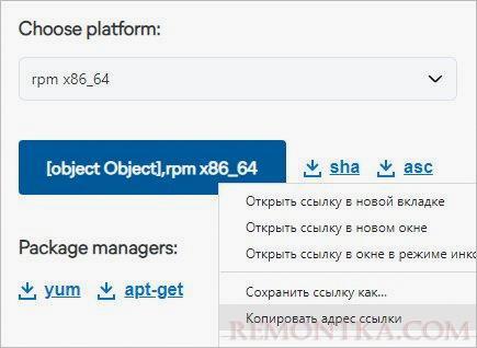 Скачиваем ссылку на RPM пакет для Logstash