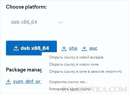 Скачиваем ссылку на DEB пакет для Elasticsearch