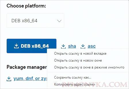 Скачиваем ссылку на DEB пакет для Kibana