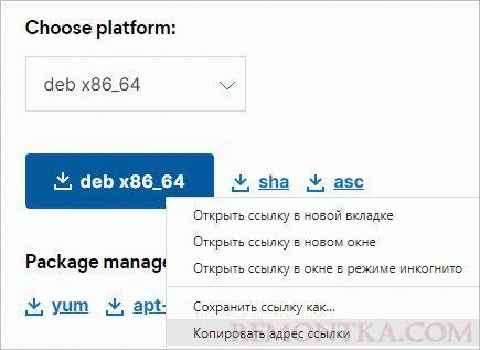 Скачиваем ссылку на DEB пакет для Logstash