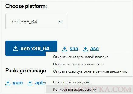 Скачиваем ссылку на DEB пакет для Filebeat
