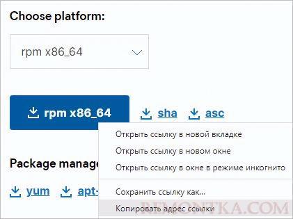 Скачиваем ссылку на RPM пакет для Filebeat