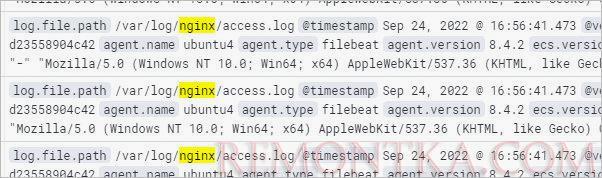 Логи с nginx