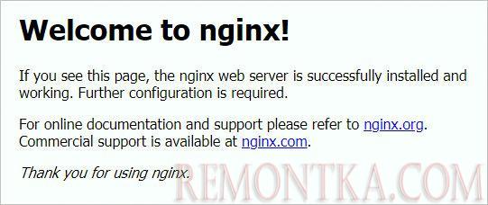 Приветствие NGINX — все настроено верно