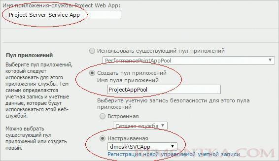 Заполнение формы для создания приложения-службы Project Server