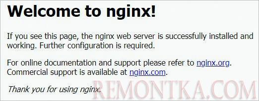 Приветствие NGINX
