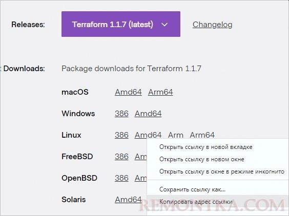 Копируем ссылку на terraform