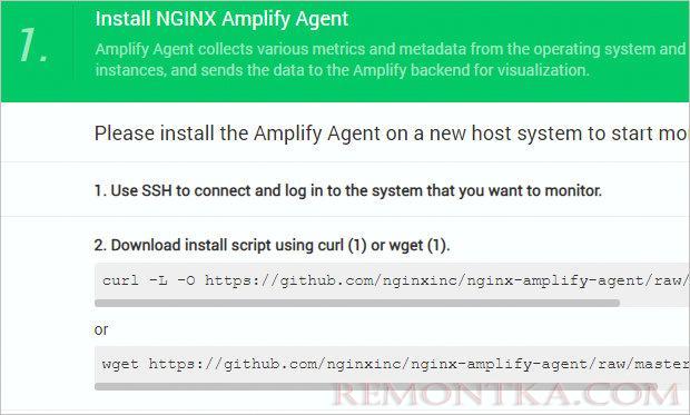 Инструкция по установке агента nginx amplify