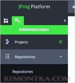 Переходим в администрирование artifactory