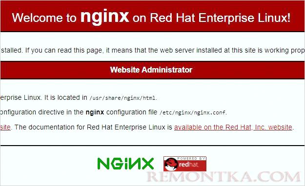 Стартовая страница NGINX