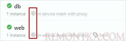 Сервисы в consul с поднятыми proxy для connect