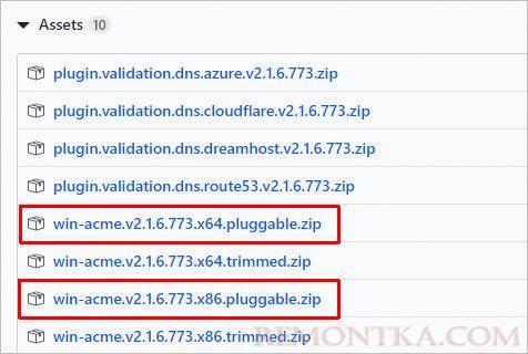 Скачиваем win-acme pluggable для Windows x32 или x64