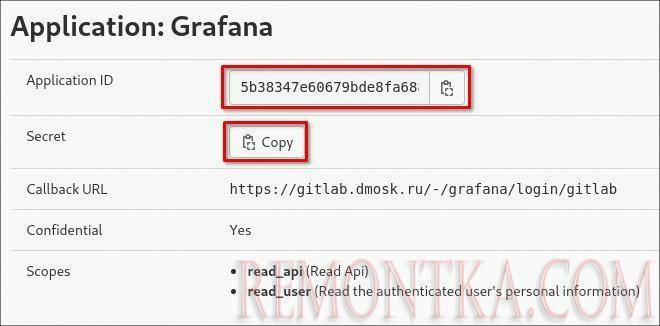 Копируем Application ID и его токен
