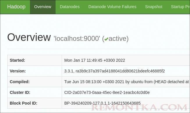 Стартовая веб-страница управления Hadoop