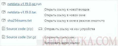 Копируем ссылку на netdata версии 1.19.0