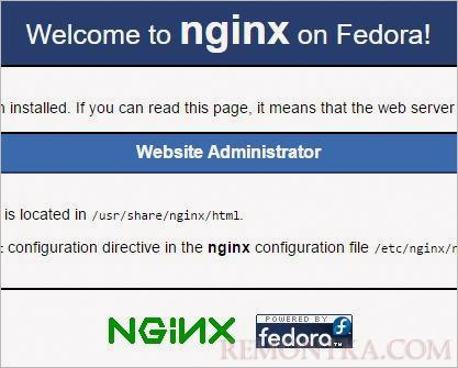 Тестовая страница правильно настроенного сервера NGINX