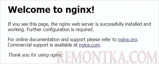 Приветствие Nginx