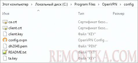 Пример каталога config для настройки OpenVPN клиента