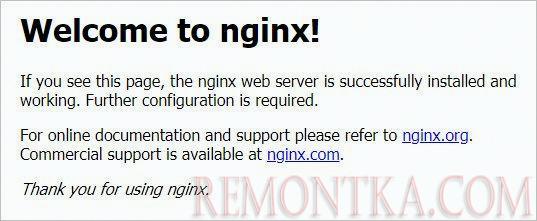 Проверка работы NGINX — стартовая страница