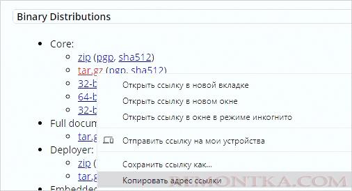 Копируем ссылку на архив tar.gz с веб-сервером
