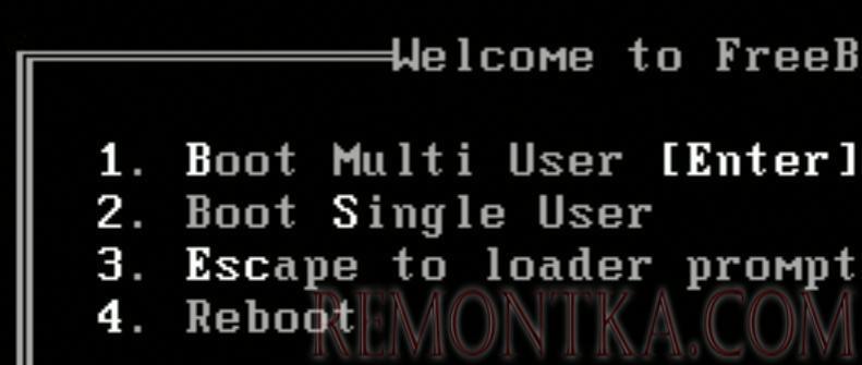 Окно вариантов загрузки в FreeBSD