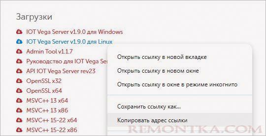 Копируем ссылку на IOT Vega Server для Linux
