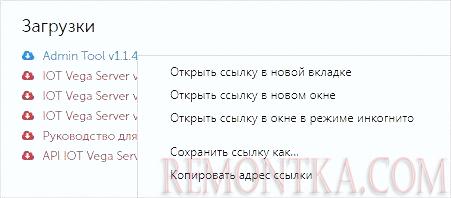 Копируем ссылку на IOT Vega Admin Tool