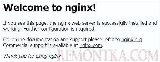 Страница приветствия NGINX