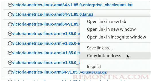 Установка и использование VictoriaMetrics на Linux