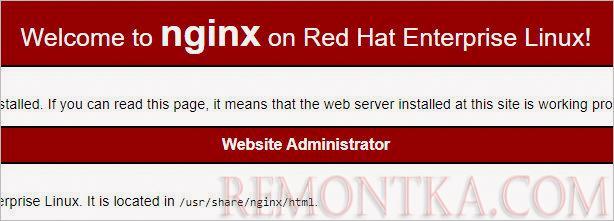 Страница приветствия от NGINX