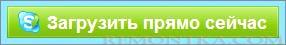 Скачать Skype русскую версию