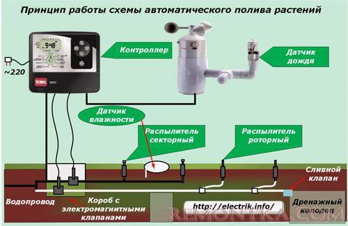 Принцип работы системы автоматического полива растений