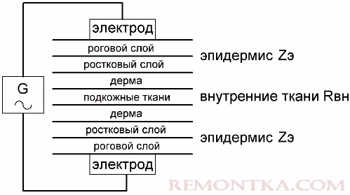 электрическое сопротивление тела человека