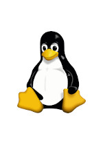 The Linux Kernel Module Programming Guide