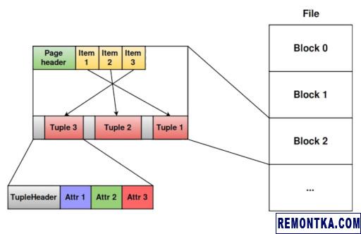 Как PostgreSQL хранит страницы и кортежи