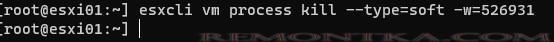 esxcli завершить процесс ВМ через kill