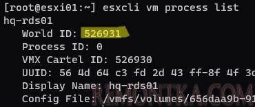 esxcli узнать id процесса виртуальной машины на vmware