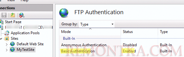 Включить Basic Authentication для FTP