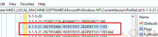 очистка временных профилей в реестре Windows NTCurrentVersionProfileList