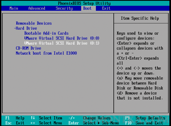 VMWare Bios - boot order - vmware virtual scsi hard drive