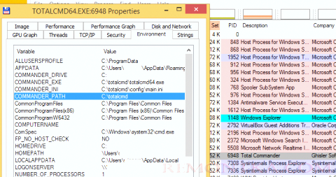 Process Explorer - переменные окружения процесса