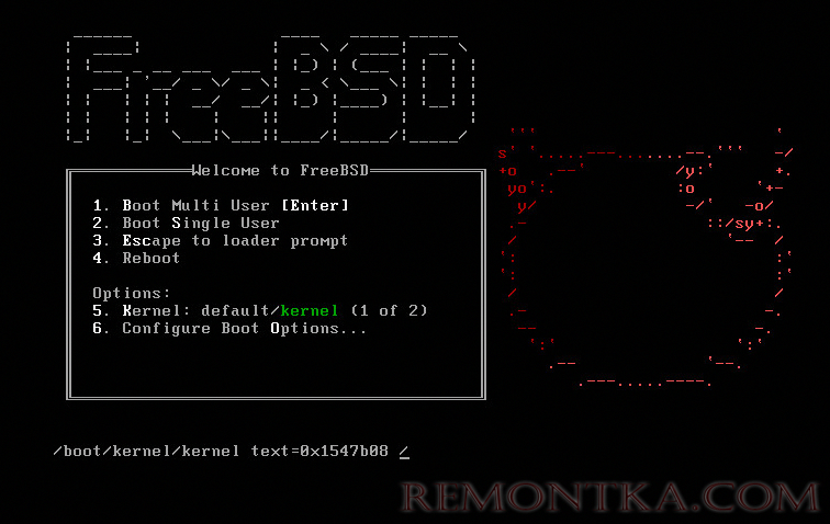 freebsd 11 под esxi5.5