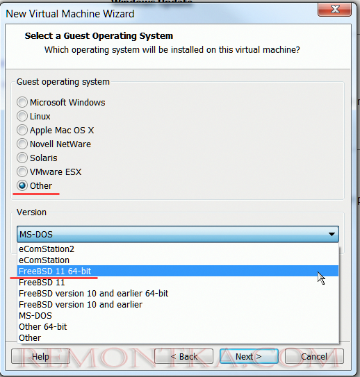 тип гостевой ОС - FreeBSD 11 64-bit