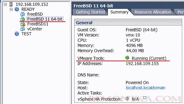 виртуальная машина с freebsd на esxi