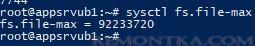 fs.file-max - максимальное количество открытых файлов в linux