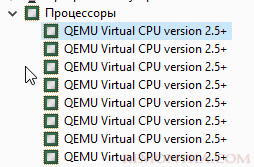 Виртуальные процессоры QEMU Virtual CPU version 2 в оборудовании виртуальной машины. 