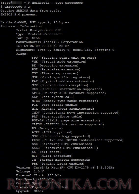 dmidecode --type processor